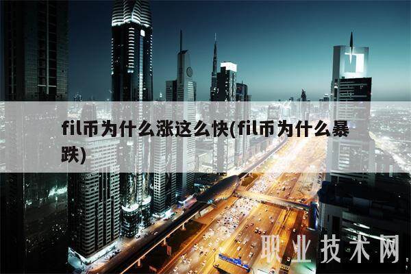 fil币为什么涨这么快(fil币为什么暴跌)-第1张图片-交易所
